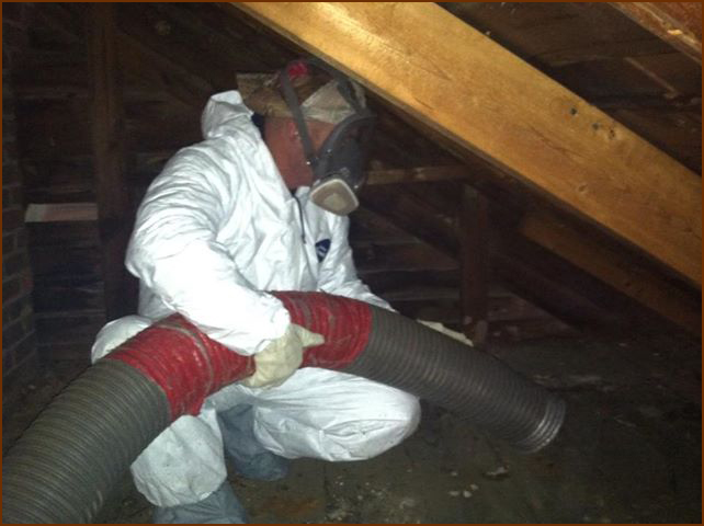 insulation removal service