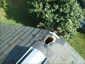 Squirrel Damaged Roof