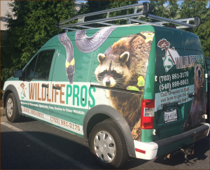 Wildlife Pros Wildlife Removal, raccoon removal, snake removal, squirrels