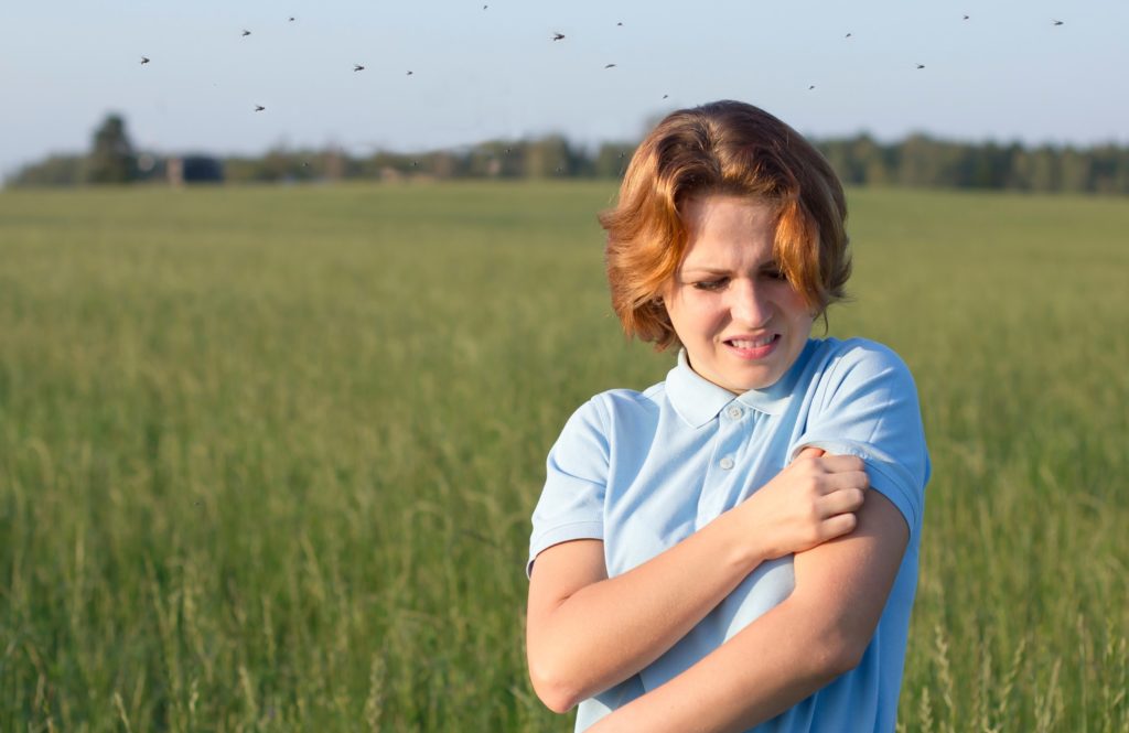 mosquito control in Virginia