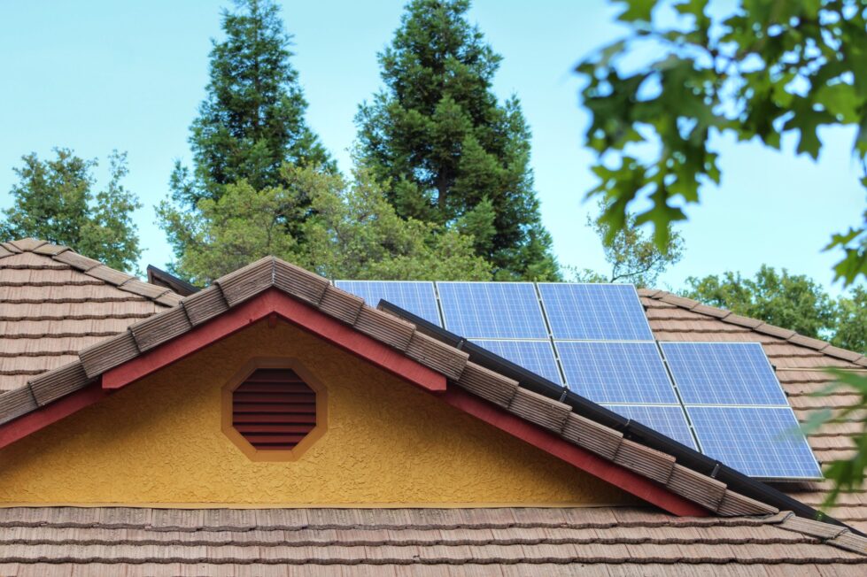 solar panel bird removal