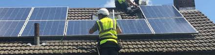 bird removal, pigeon removal for solar panels