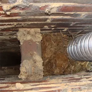 Squirrel nest caused by a Squirrel in chimney