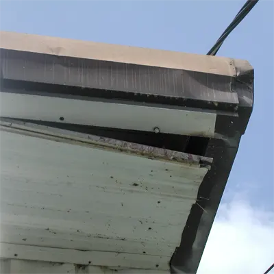 Soffit damage caused by squirrels in soffit